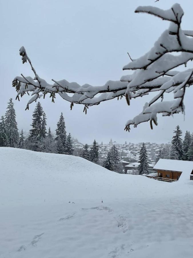 Ferienwohnung 3,5 Zimmer Direkt An Ski- Und Bikepiste فيلمز المظهر الخارجي الصورة