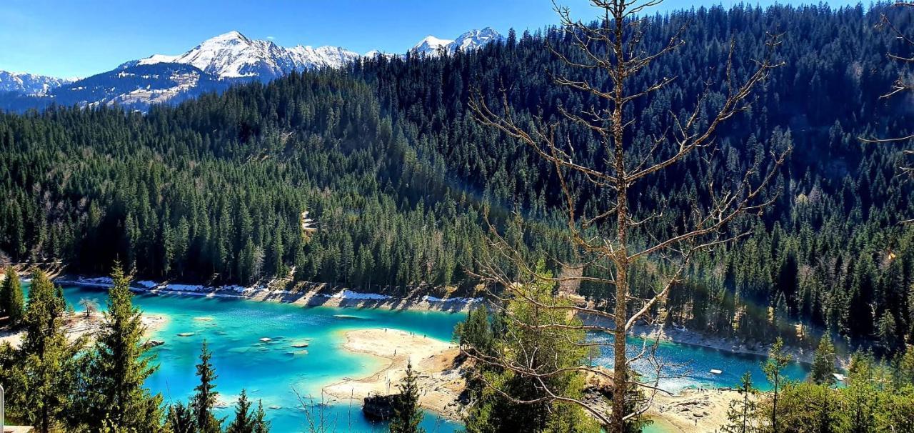 Ferienwohnung 3,5 Zimmer Direkt An Ski- Und Bikepiste فيلمز المظهر الخارجي الصورة